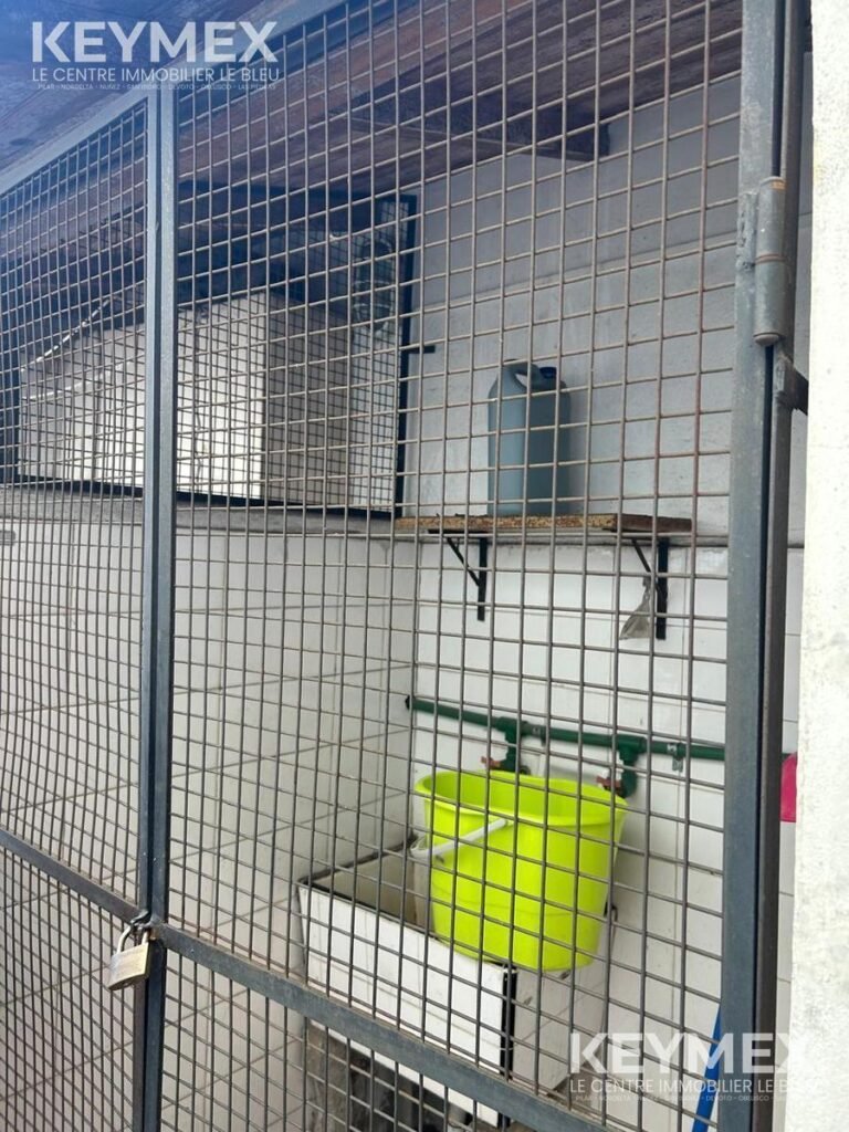 Posto importación – foto 15
