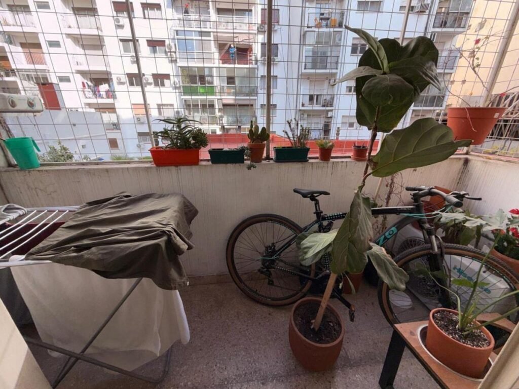 Posto importación – foto 13