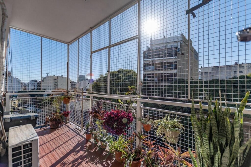 Posto importación – foto 8